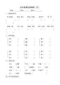 五年级语文下册周周练3