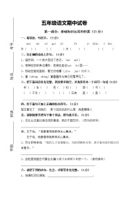 五年级语文下册期中考试卷及答案