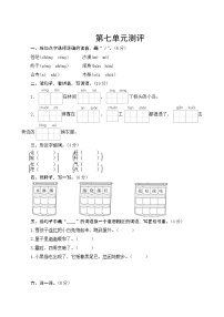 部编版语文二年级上册  第七单元测评  试卷（含答案）