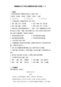 部编版语文六年级上册期末综合复习试题（一）