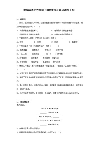 部编版语文六年级上册期末综合复习试题（九）