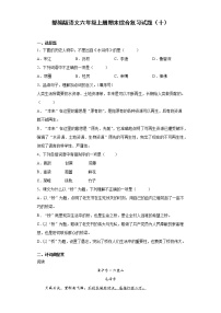 部编版语文六年级上册期末综合复习试题（十）