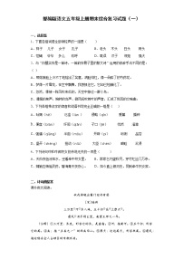 部编版语文五年级上册期末综合复习试题（一）