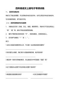 4年级语文上册句子专项练习（附答案）