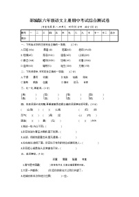 人教部编版六年级语文上册《期中考试综合测试卷》试题及参考答案