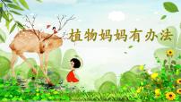 小学语文3 植物妈妈有办法集体备课ppt课件