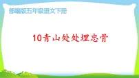 人教部编版五年级下册11 青山处处埋忠骨教课ppt课件