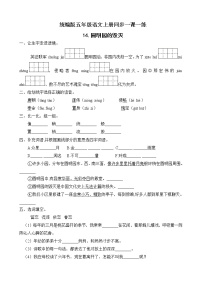 人教部编版五年级上册14 圆明园的毁灭练习