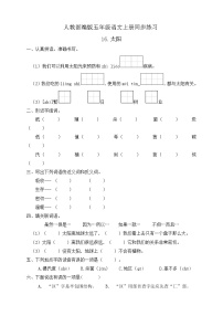 小学语文人教部编版五年级上册16 太阳习题