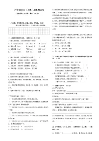 2021-2022学年部编版语文六年级上册期末测试(试题)(附答案)