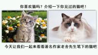 2021学年13 猫优秀课件ppt