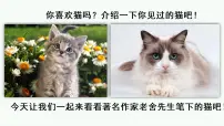 2021学年13 猫优秀课件ppt