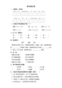 五年级上册语文试题-期末测试卷（二） 部编版（含答案）