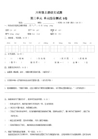 【期末必备】2021-2022学年度部编版六年级语文上册第三单元拓展提升卷B（含答案）