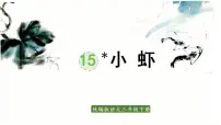 语文三年级下册15* 小虾教案配套课件ppt