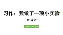 小学语文人教部编版三年级下册习作:我做了一项小实验备课ppt课件