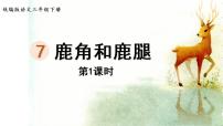 小学语文人教部编版三年级下册7 鹿角和鹿腿备课ppt课件