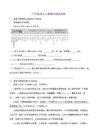 人教部编版六年级语文上册期末阅读提升训练（含答案）(9)