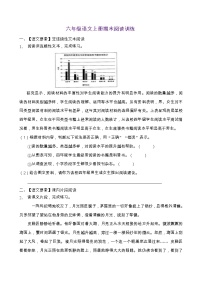 人教部编版六年级语文上册期末阅读提升训练（含答案）(7)