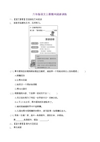 人教部编版六年级语文上册期末阅读提升训练（含答案）(14)