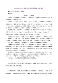 2021-2022学年度小升初语文阅读专项训练（人教部编版有答案）(7)