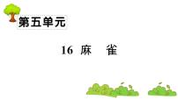 小学语文16 麻雀复习课件ppt