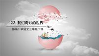 2020-2021学年22 我们奇妙的世界获奖课文课件ppt