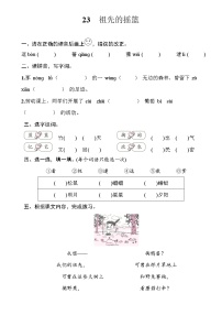 小学语文人教部编版 (五四制)二年级下册23 祖先的摇篮优秀课时练习