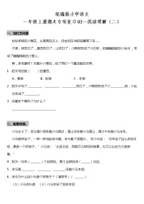 统编版小学语文一年级上册期末专项复习03—阅读理解（二）（含答案）