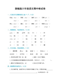 最新部编版六年级语文上册期中检测（附答案）