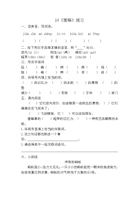 人教部编版 (五四制)三年级下册14 蜜蜂优秀同步达标检测题