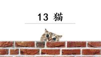 人教部编版 (五四制)四年级下册13 猫试讲课课件ppt