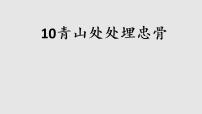 小学语文人教部编版 (五四制)五年级下册10 青山处处埋忠骨完美版课件ppt