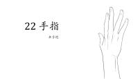 小学语文人教部编版 (五四制)五年级下册22 手指优秀ppt课件