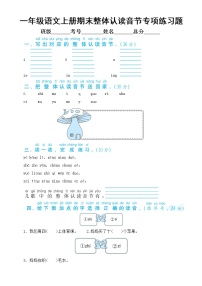 小学语文部编版一年级上册期末整体认读音节专项练习题（附参考答案）