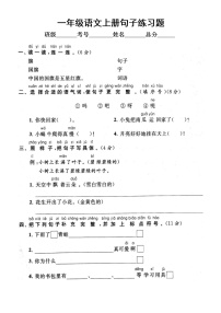 小学语文部编版一年级上册期末句子专项练习（附参考答案）