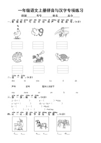 小学语文部编版一年级上册期末拼音与汉字专项练习（常考题型，附参考答案）