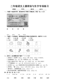 小学语文部编版二年级上册期末拼音与生字专项练习（常考题型，附参考答案）