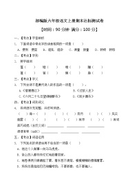 部编版六年级语文上册期末达标测试卷（含答案）(4)