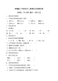 部编版三年级语文上册期末达标测试卷（含答案）(9)