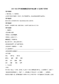 人教部编版五年级上册第五单元16 太阳学案