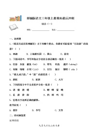 期末最后冲刺五套卷——三年级上册语文综合（一）（原卷版+解析版）