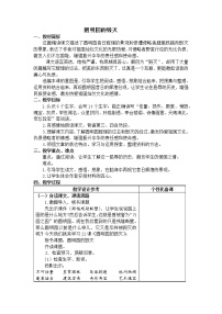 小学语文人教部编版五年级上册14 圆明园的毁灭教案及反思