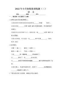 模拟测试卷03-2022年小升初语文衔接训练题（含答案）