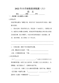 模拟测试卷06-2022年小升初语文衔接训练题（含答案）