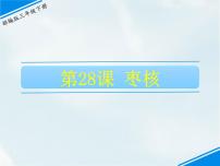 小学语文人教部编版三年级下册28* 枣核课文课件ppt