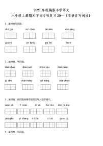 期末字词专项复习20—《看拼音写词语》(试题)2021-2022学年语文六年级上册 统编版 含答案