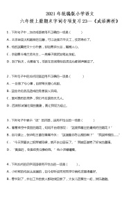 期末字词专项复习23—《成语辨析》（试题）2021-2022学年语文六年级上册 统编版 含答案