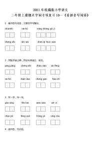 期末字词专项复习10—《看拼音写词语》(试题)2021-2022学年语文二年级上册 统编版 含答案