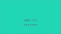 2021年语文专题四句子专项复习检测习题课件